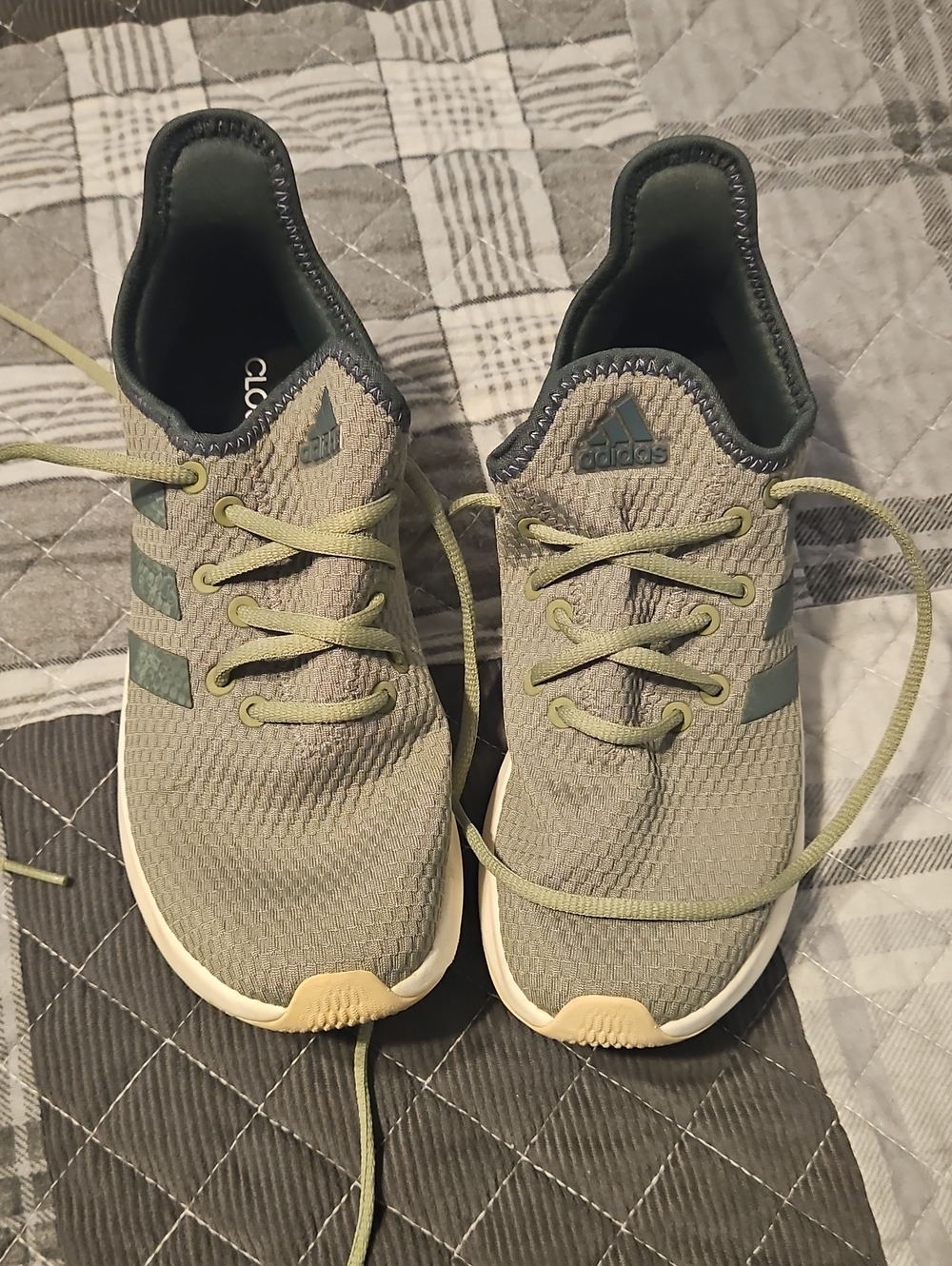 adidas Olive/Green Knit Low-Top Sneakers